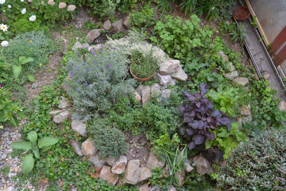 Create sustainable spaces with permaculture diversity