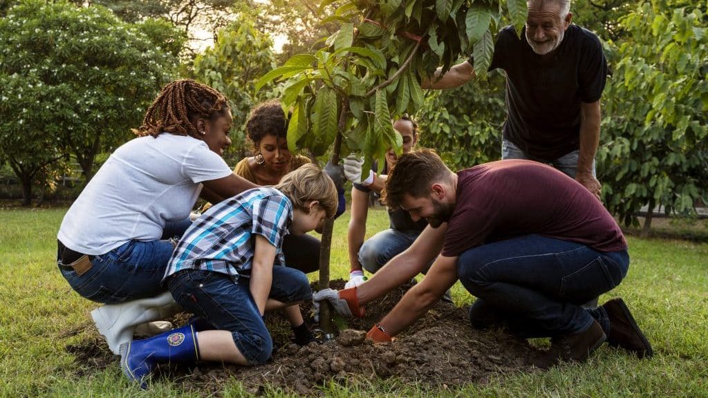 Create sustainable spaces with permaculture education and culture