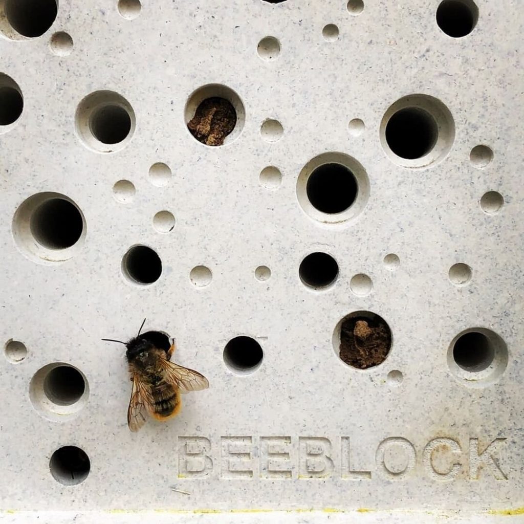 Bee Brick: Un ladrillo ecológico diseñado para ser un refugio seguro para las abejas solitarias en ciudades